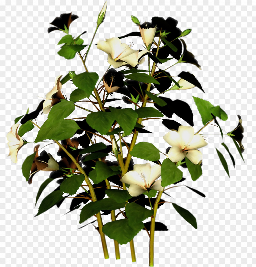 Twig Anthurium Floral Design PNG