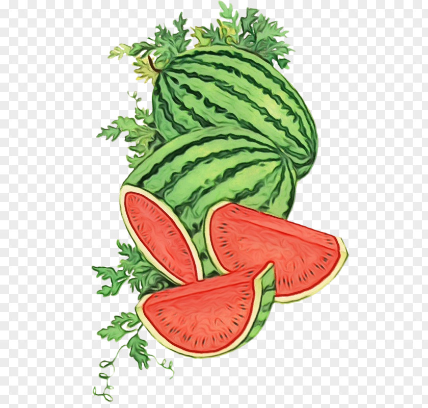 Vegetarian Food Natural Foods Watermelon Cartoon PNG
