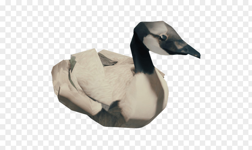 Ark Gameplay Goose Bird Duck Feather Animal PNG