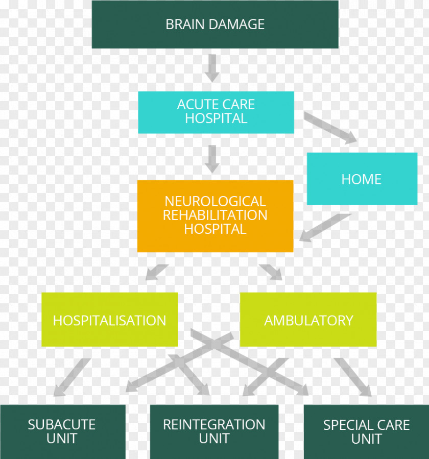 Brain Damage Physical Medicine And Rehabilitation Hospital Neurology PNG