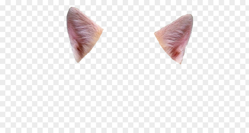 Ear Cat Felidae Deer 0 PNG