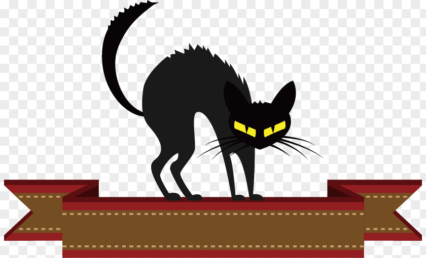 Halloween Decorative Elements Black Cat Whiskers PNG