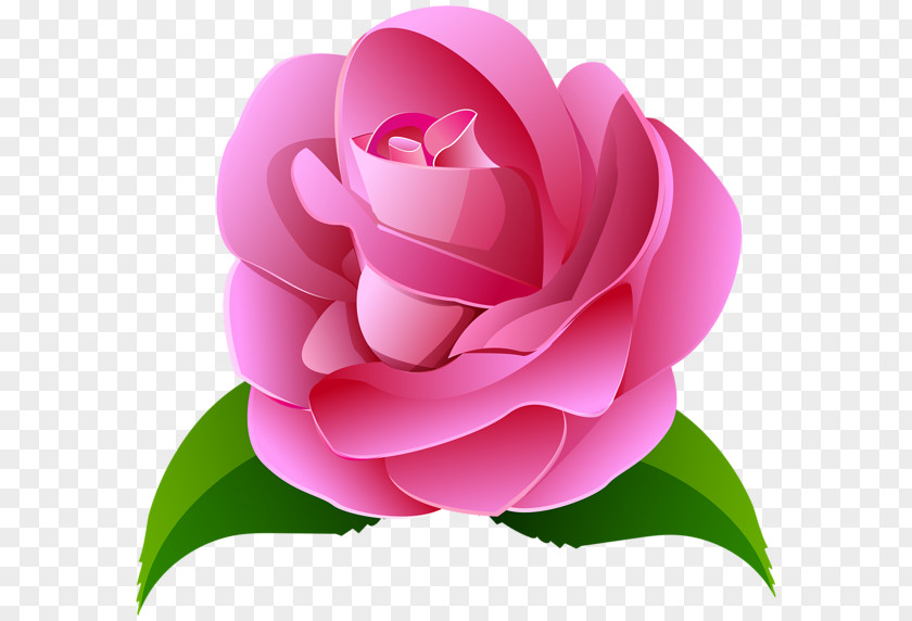 Pink Rose Painting Clip Art PNG
