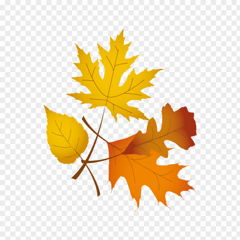 Thanksgiving Leaves Symbol Clip Art PNG