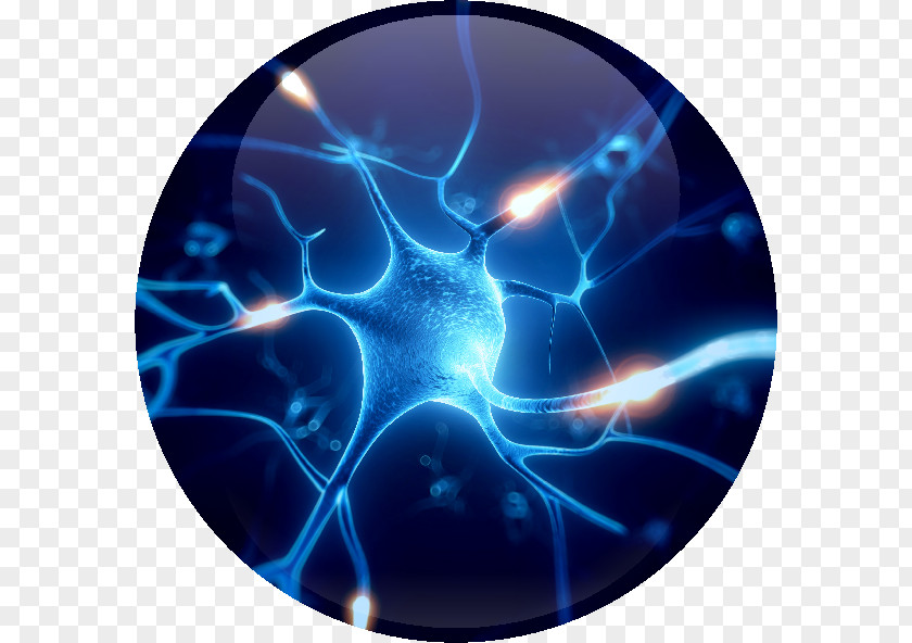 Brain Neuron Nervous System Neurodegeneration Synapse PNG