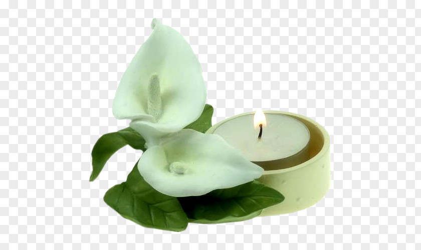 Calla Lily Candle Arum-lily Flower Clip Art PNG