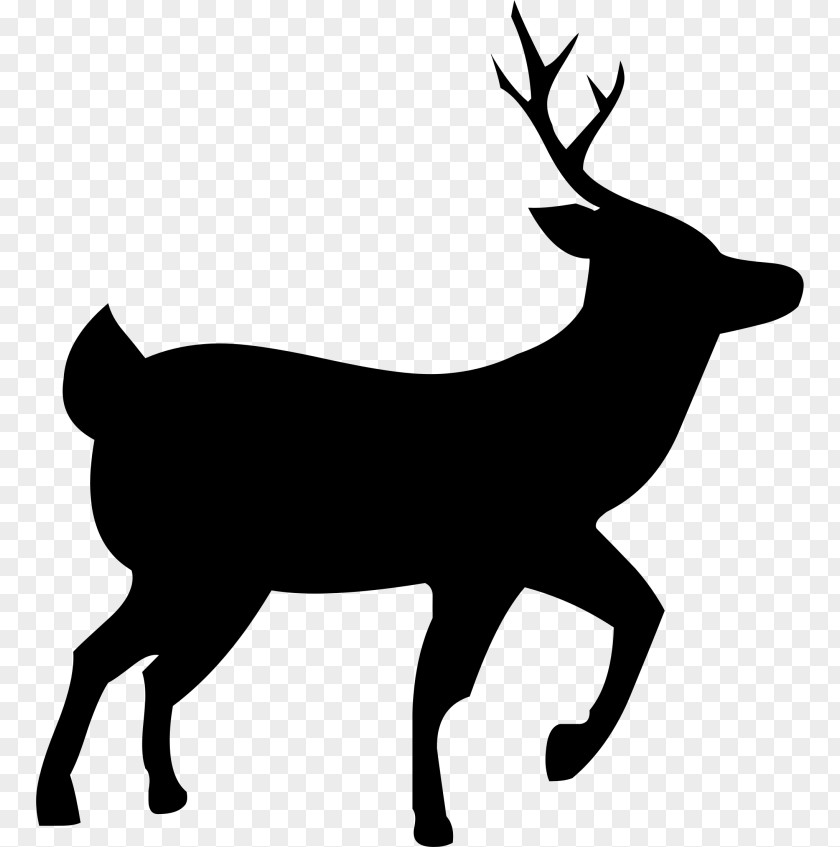 Deer Reindeer Rudolph White-tailed Clip Art PNG