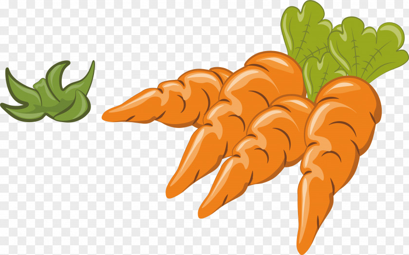 Four Carrots Carrot Vegetable Illustration PNG