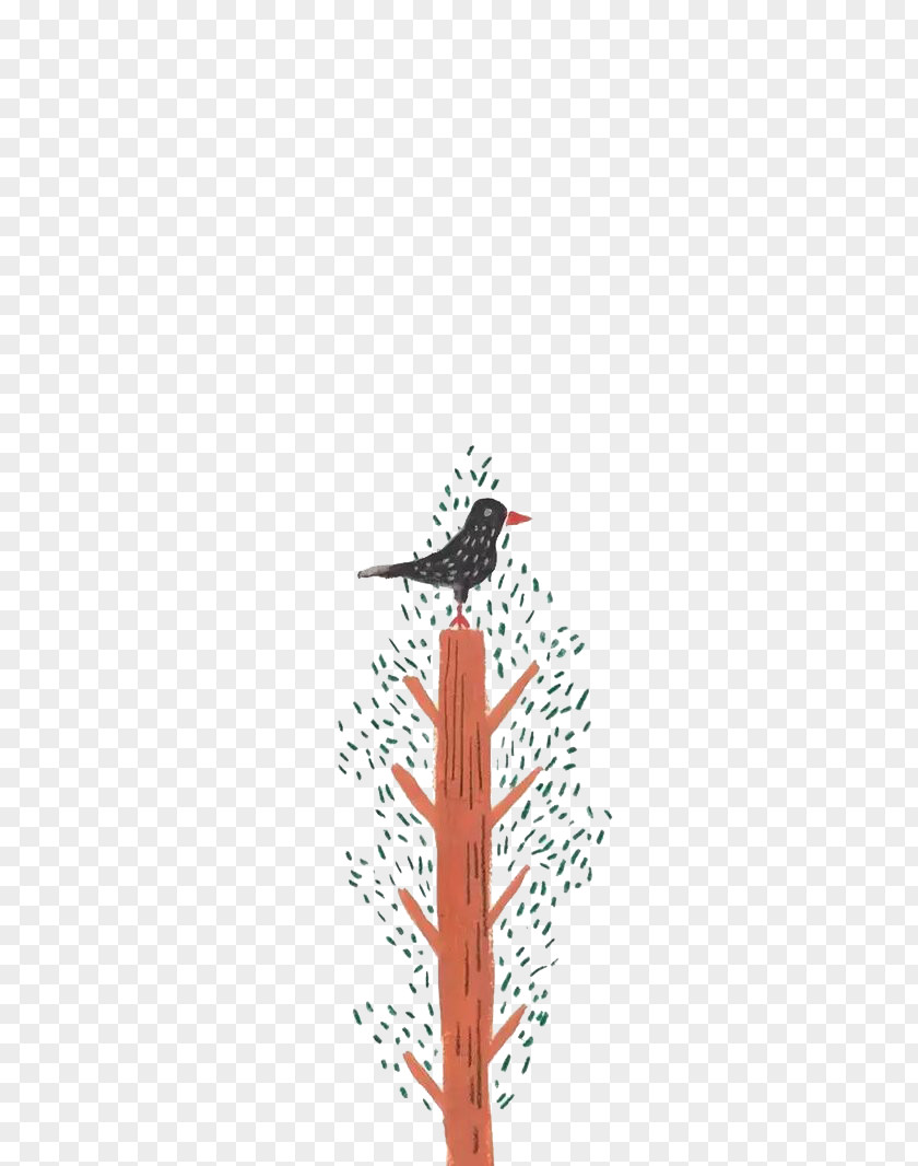 Free Standing Bird Pictures IPhone 4S Illustration PNG
