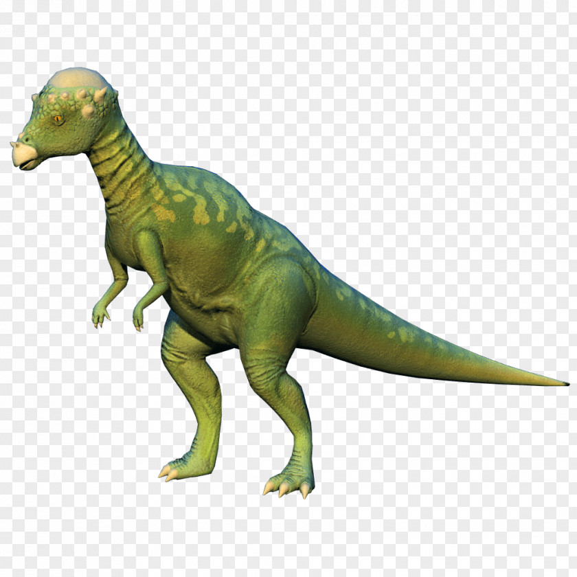Gideon Mantell Tyrannosaurus Velociraptor Terrestrial Animal PNG