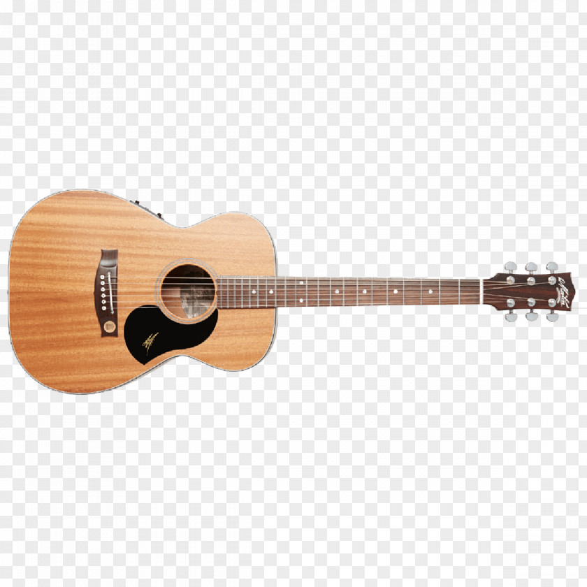 Mahogany Steel-string Acoustic Guitar Acoustic-electric PNG