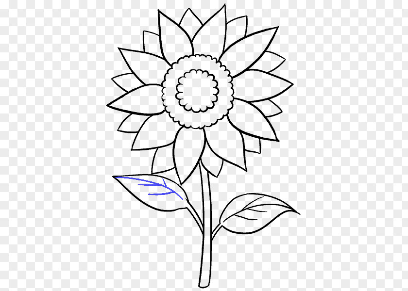 Sunflower Leaf Drawing Common Art Sketch PNG