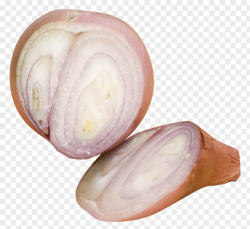 Vegetable Shallot Scallion Slicing PNG