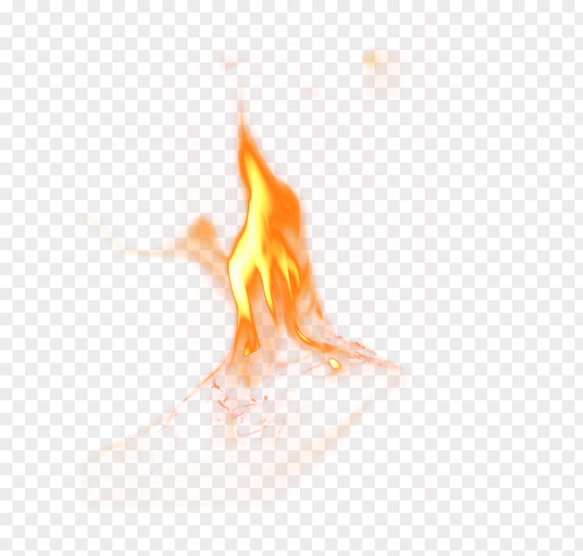 Fire Flame No PNG
