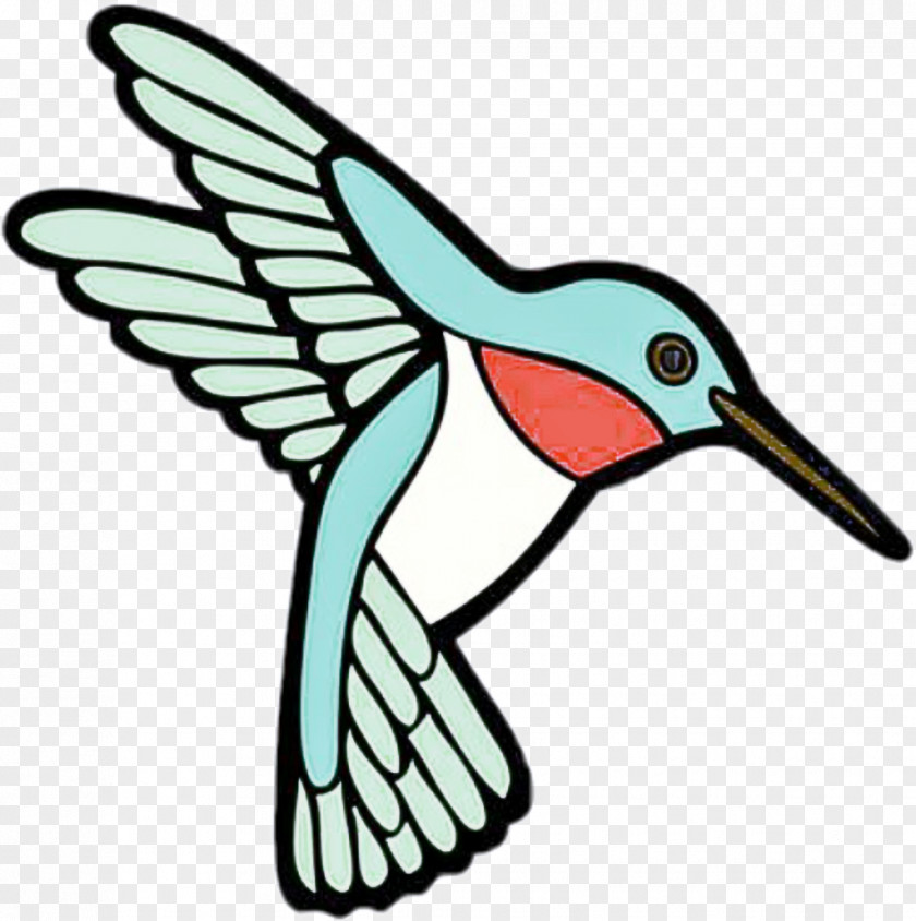 Hummingbirds Beak PNG