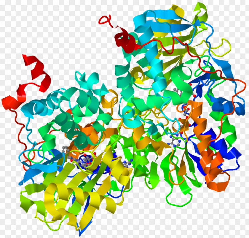 Monoamine Oxidase Inhibitor Neurotransmitter Enzyme PNG