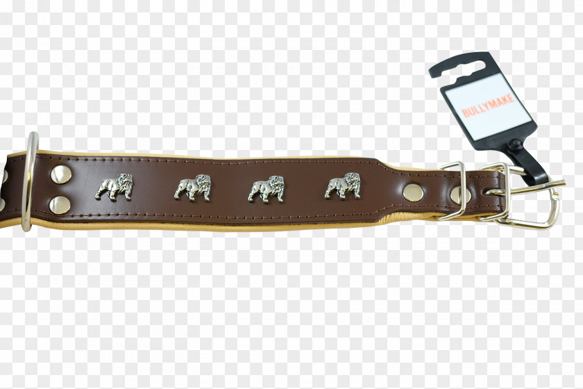 Belt Leash Strap PNG