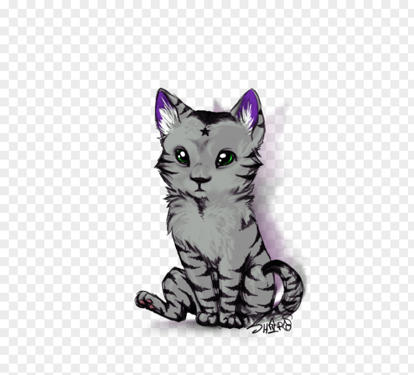 Lilac American Shorthair Tabby Cat Wirehair Korat Domestic Short-haired PNG