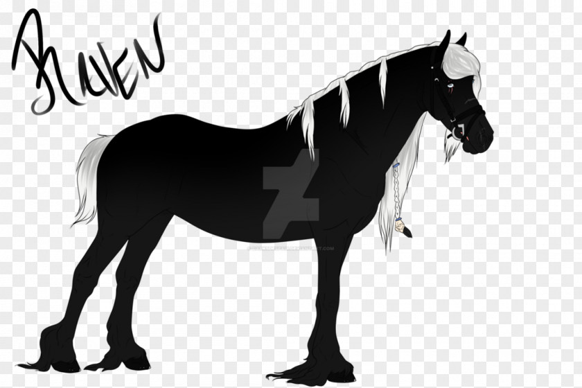 Mud Horse Mane Mustang Stallion Pony Mare PNG