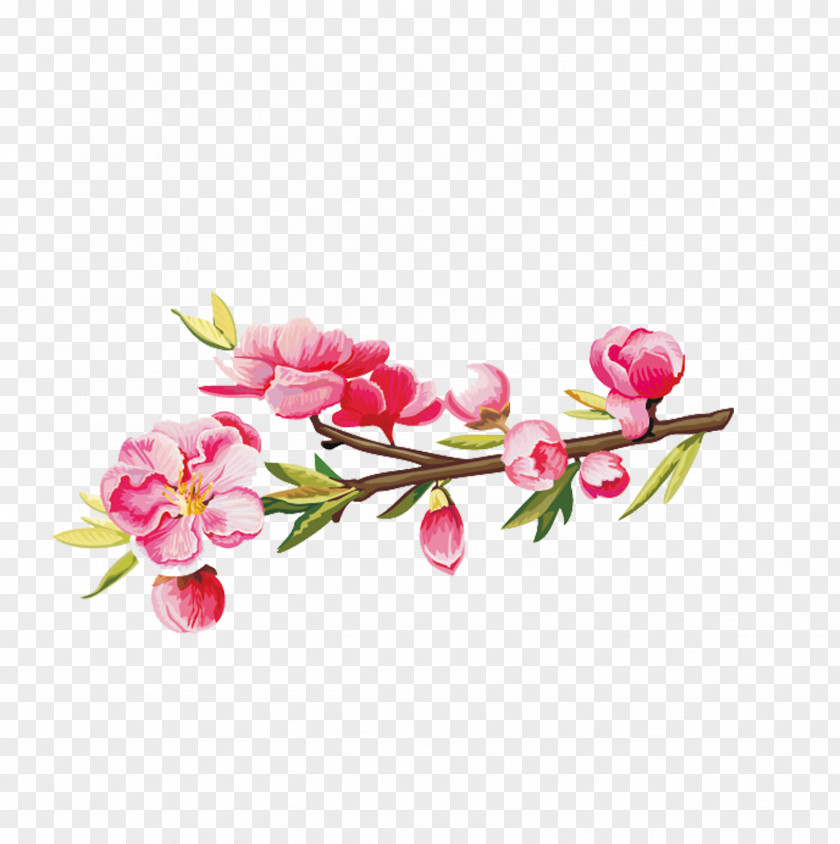 Plum Flower Euclidean Vector PNG