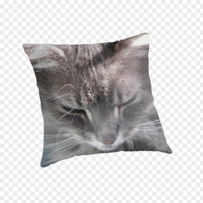 Smoky Tabby Cat Kitten Whiskers Mammal PNG