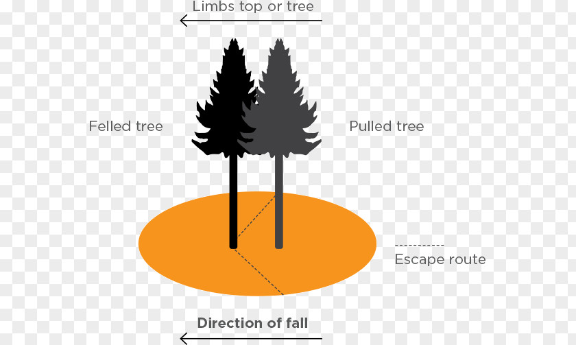 Tree Fall Felling Clip Art Image PNG