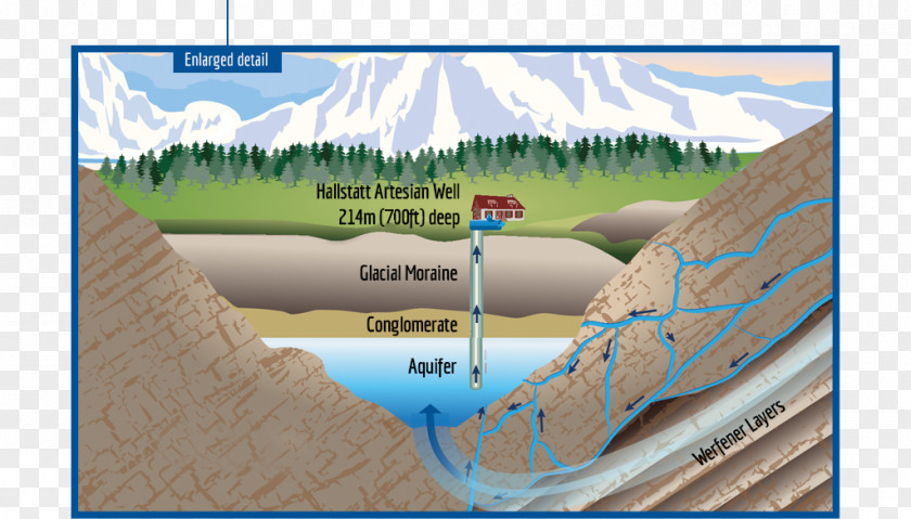 Water Resources Ecoregion Grasses Family PNG