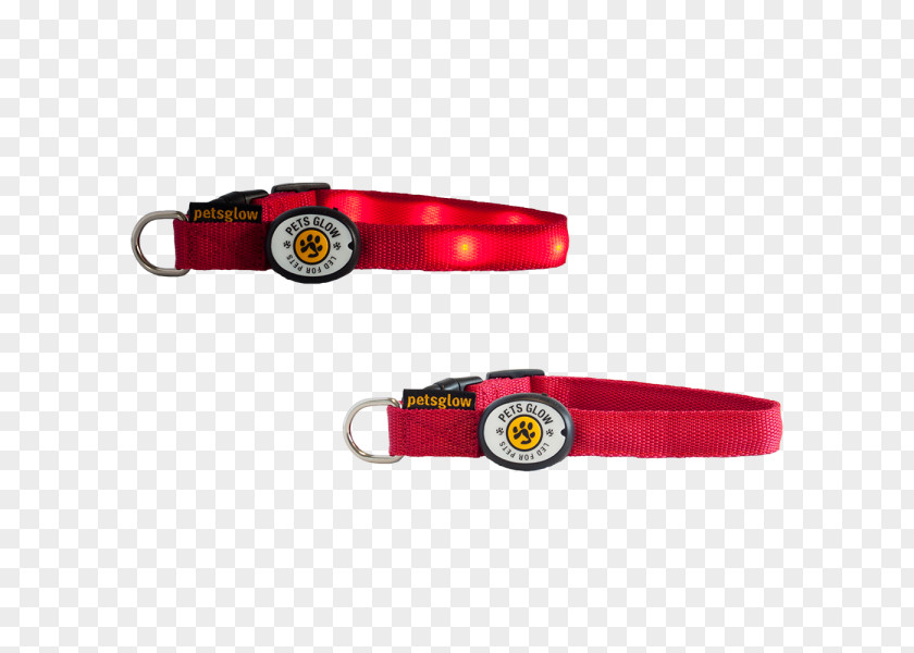 Dog Leash Collar PNG