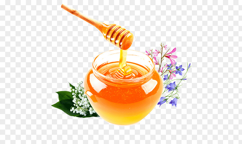 Honey Sweet Clovers Disease Bee Health PNG