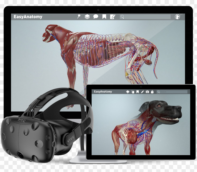 Human Body 3D HTC Vive Oculus Rift Virtual Reality Augmented Dog Anatomy PNG