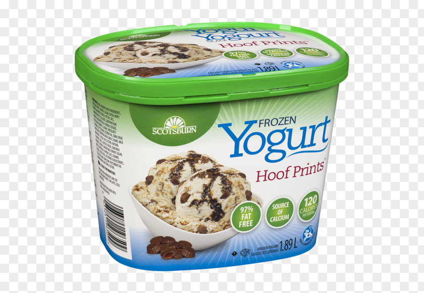 Ice Cream Frozen Yogurt Spotted Dick Vegetarian Cuisine PNG