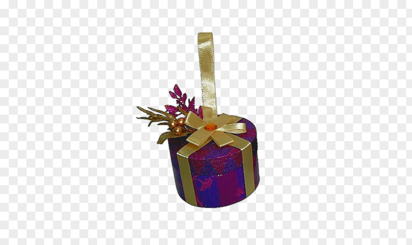 Purple Gift PNG