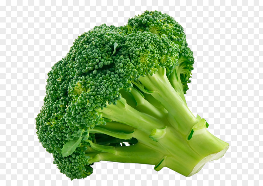 Tipped Broccoli Organic Food Vegetable Turnip Fruit PNG