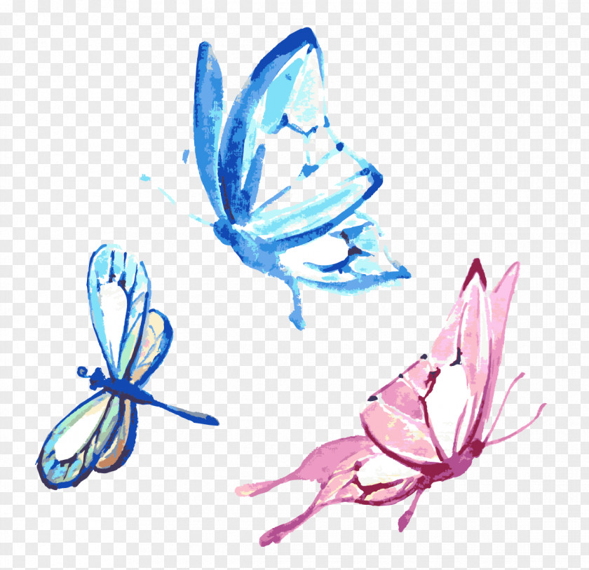 Vector Butterfly Watercolor Painting Drawing PNG