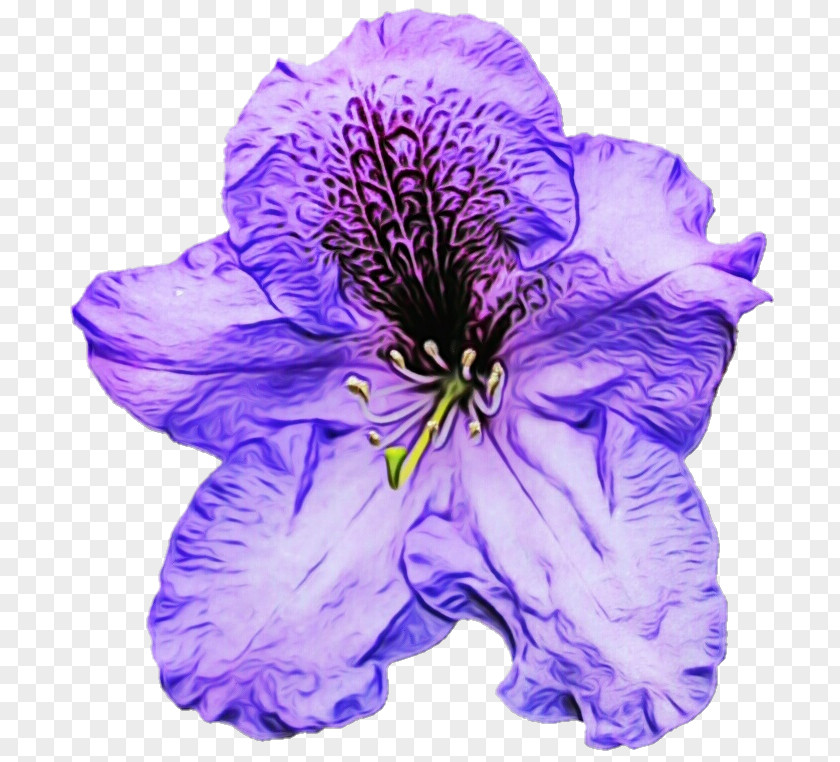 Cut Flowers Petunia Lavender PNG
