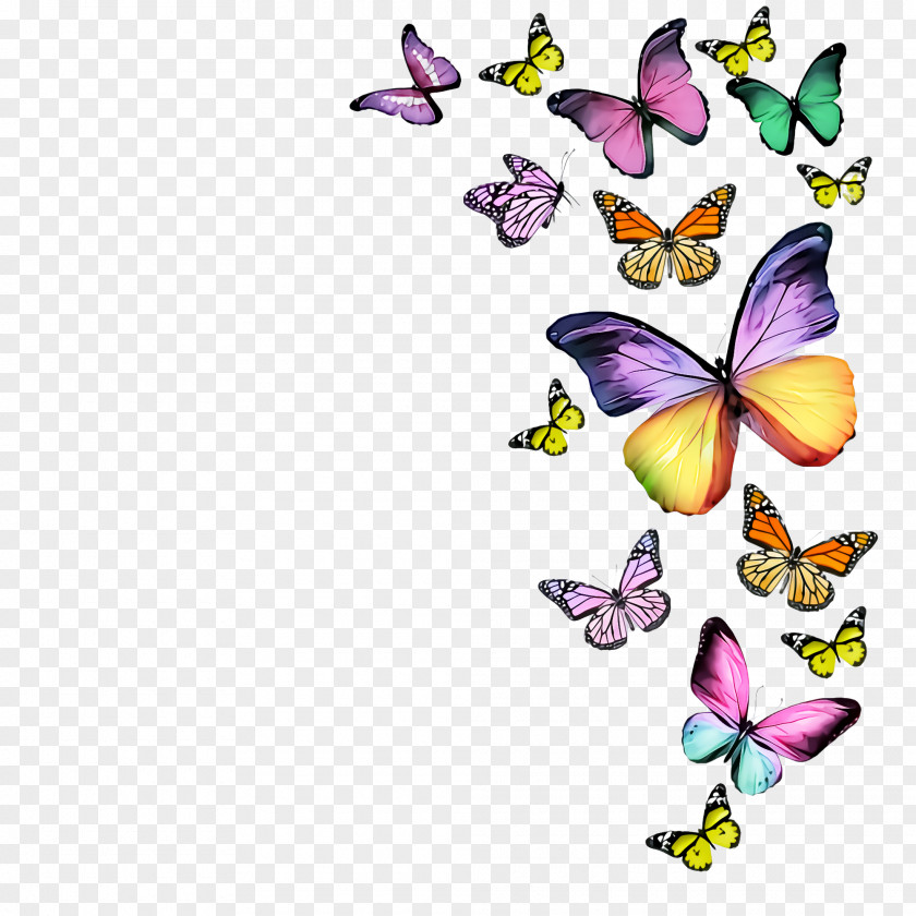 Cynthia (subgenus) Butterfly Moths And Butterflies Insect Pollinator PNG