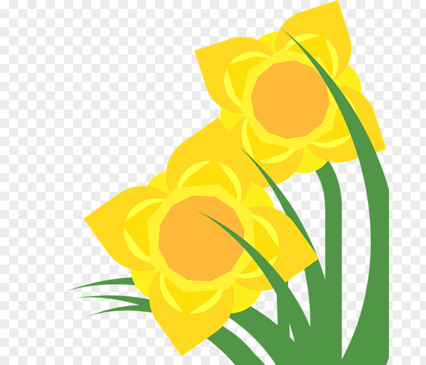 Daffodils Border Daffodil Clip Art Illustration Image Drawing PNG