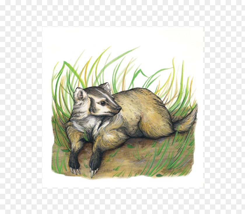 Summer Sale Poster Mustelids Fauna Marsupial Wildlife PNG