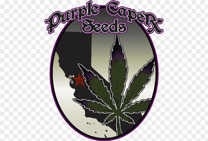 Top 25 Marijuana Strains Seed Bank Autoflowering Cannabis White Widow Company PNG