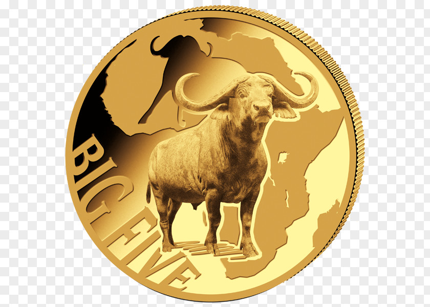 Lion Big Five Game Coin Gold Ounce PNG