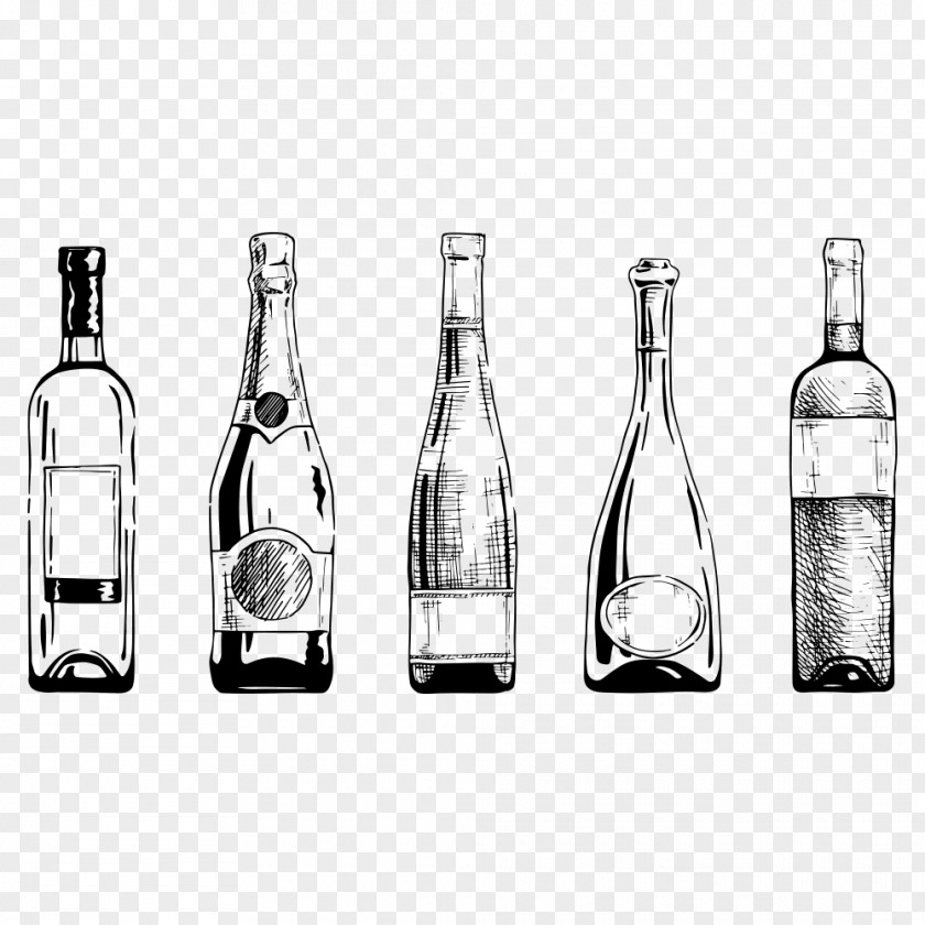Sketch Bottle Port Wine Champagne PNG
