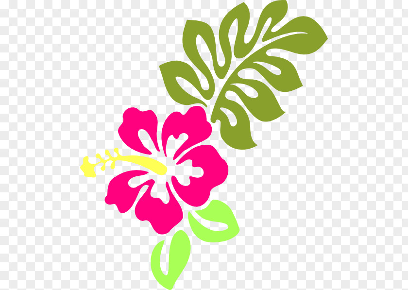 Hibiscus Hawaiian Shoeblackplant Clip Art PNG