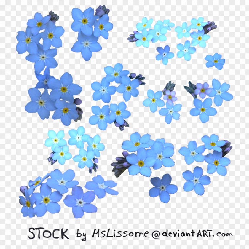 Ross Flower Clip Art Image Vector Graphics PNG