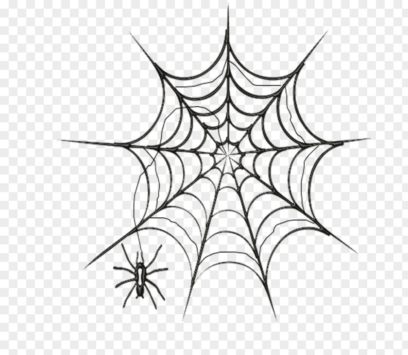 Spider Web Drawing Clip Art PNG