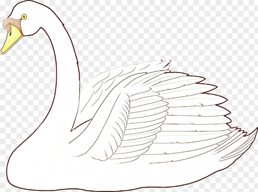 Wing Tail Bird Line Drawing PNG