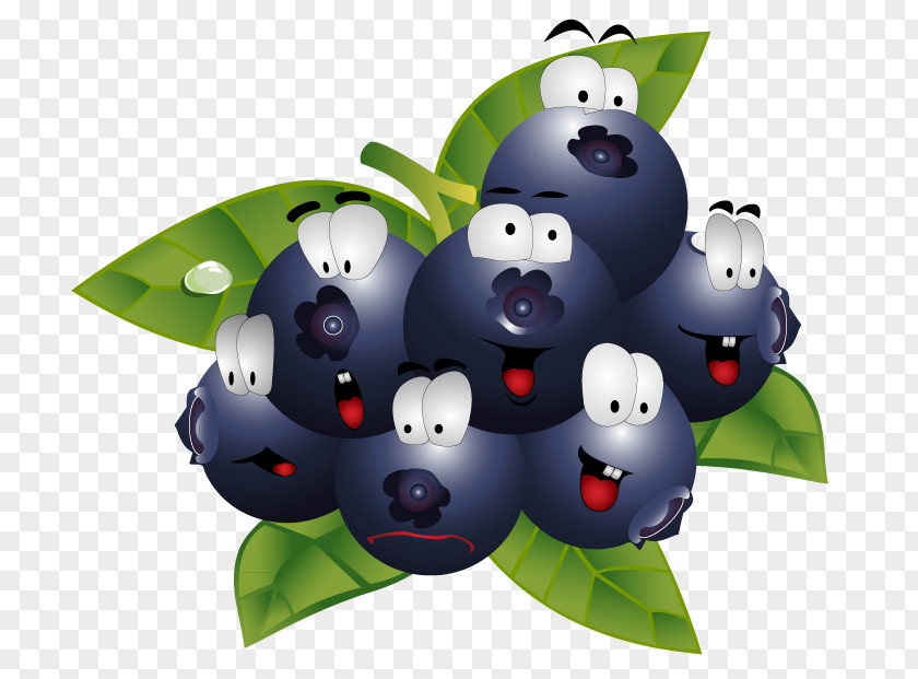 Blackberry Clip Art Fruit Image PNG