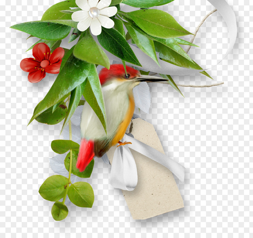 Flowers Floral Decorations Flower Bouquet PNG