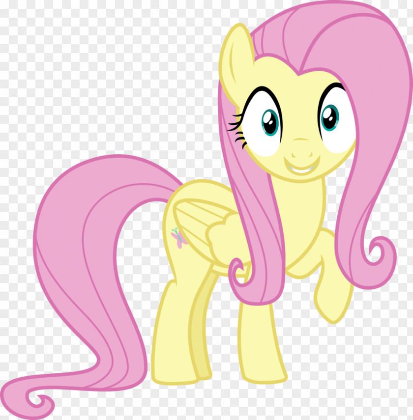 Flutter Fluttershy Rarity Rainbow Dash Pony Pinkie Pie PNG