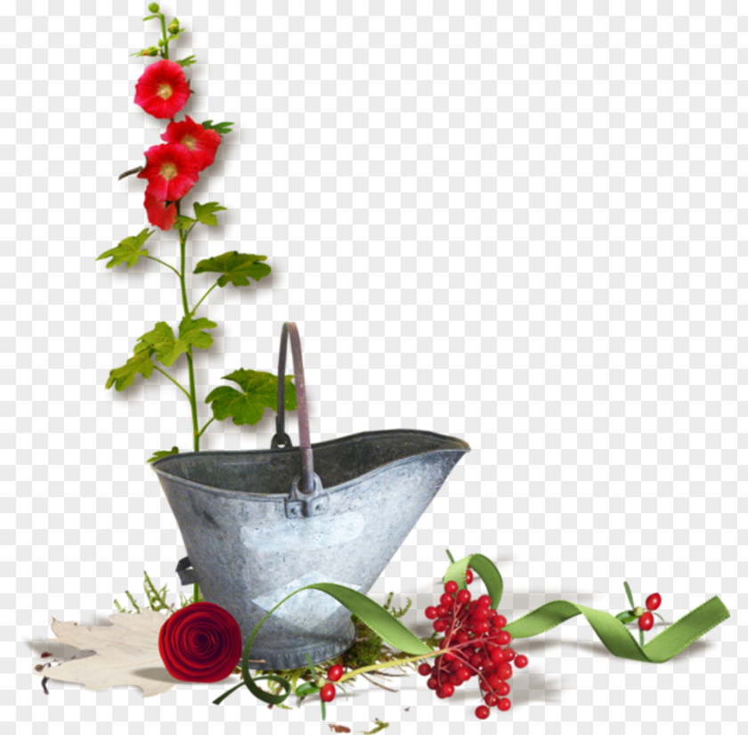 Houseplant Holly Background Flowers Frame PNG