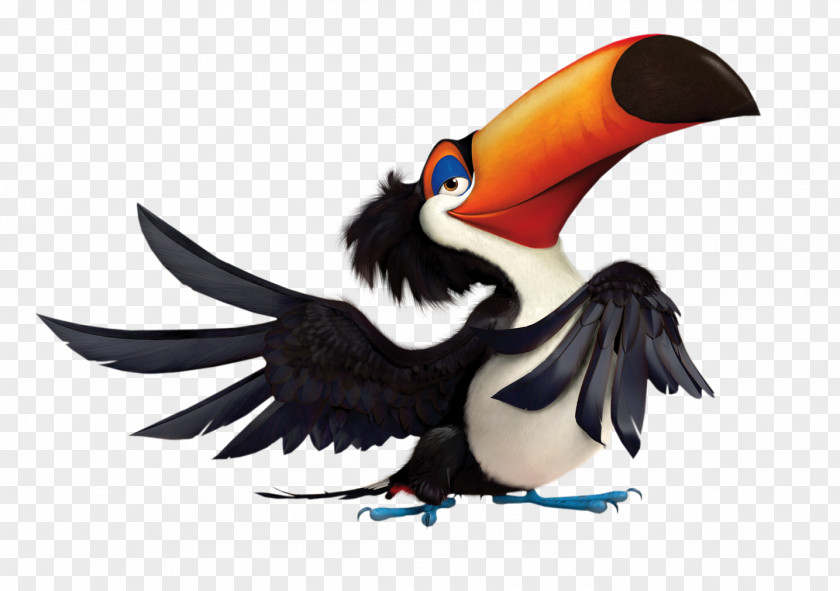 Tucan YouTube Film Rio Comedy Animation PNG